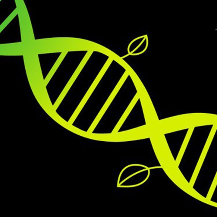 Stilisierte grüne DNA-Helix mit Blattmotiven auf schwarzem Hintergrund