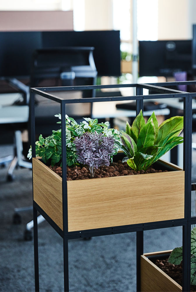 Grüne und lilane Pflanzen stehen in einem leeren Büro 